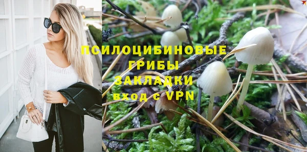 эйфоретик Армянск