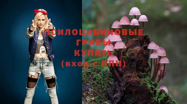 эйфоретик Армянск