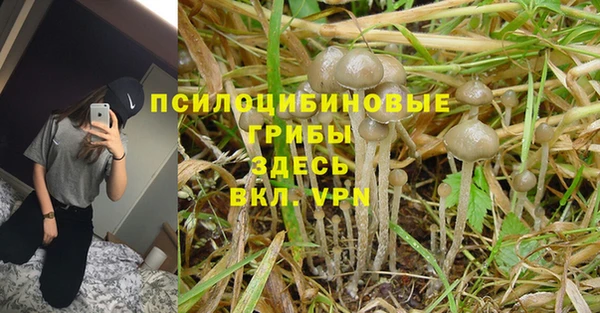не бодяженный Аркадак
