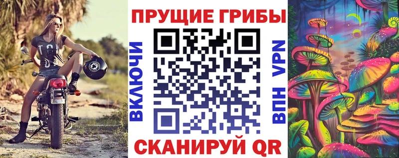 дарк нет официальный сайт  Курганинск  Галлюциногенные грибы мухоморы  omg ссылка 
